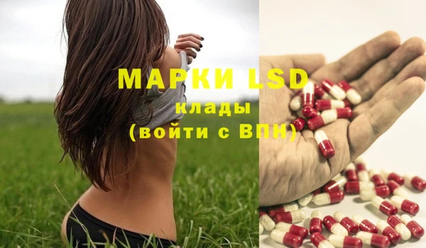 крисы Михайловск